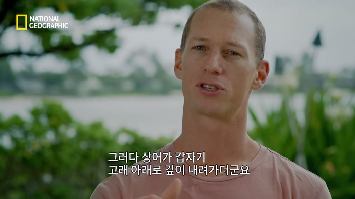 고래 먹방하던 상어들이 갑자기 사라진 이유