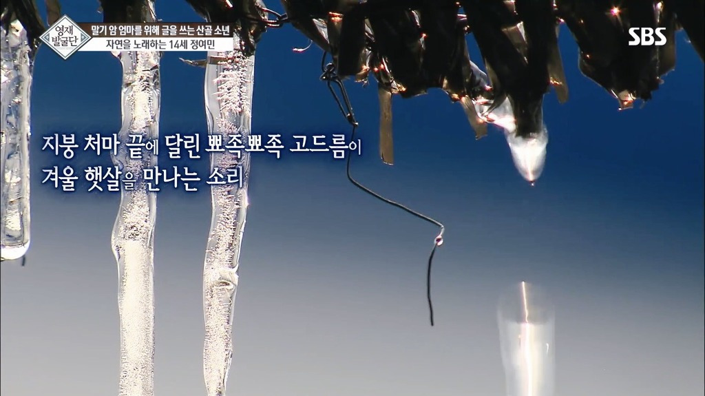 영재발굴단