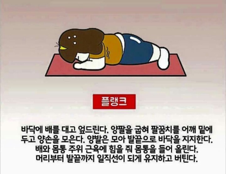 4분으로 1시간 효과를 보는 4분 타바타 운동법.jpg