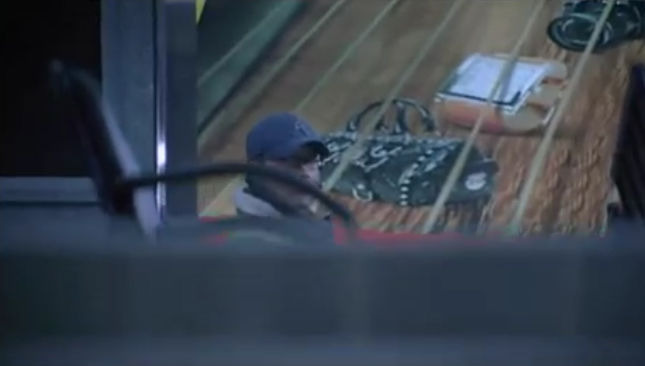 악마를 보았다 감독판 엔딩중 하나.jpg