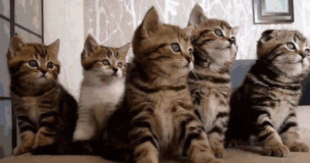 99BBD1495CFD0FAC08A400