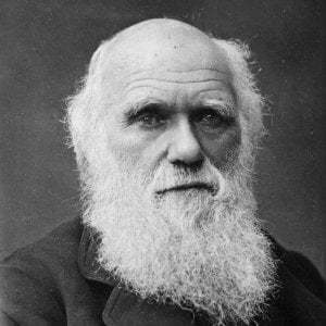 찰스 다윈과 아인슈타인의 신과 성경에 대한 견해