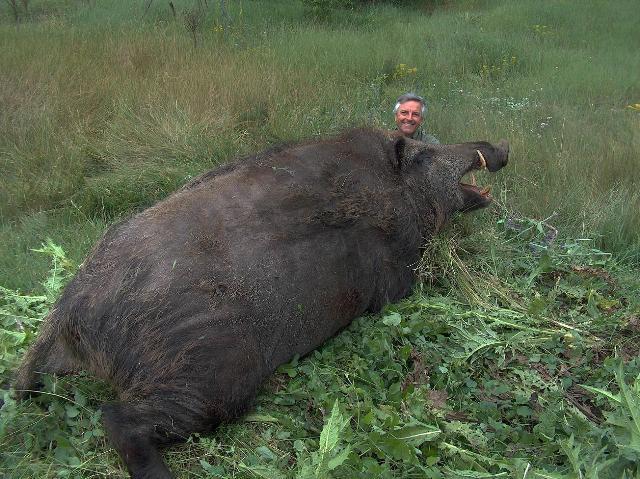 미국의 멧돼지 사냥 투어