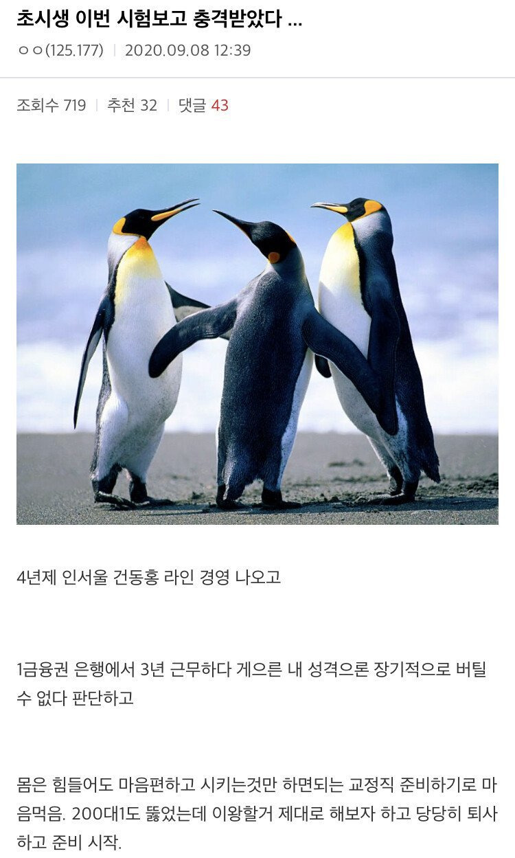 9급 시험치고 충격먹은 공갤러 - 꾸르