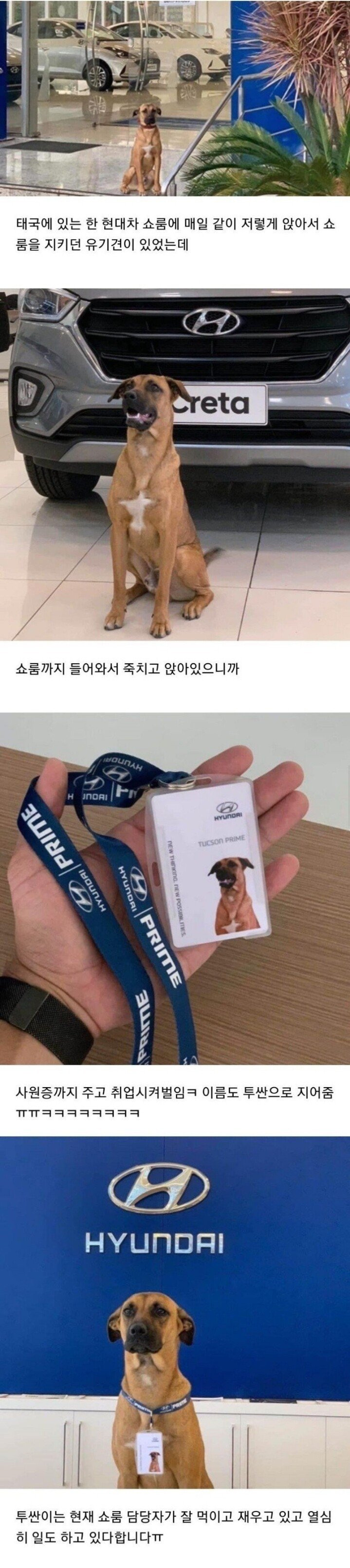 무스펙 현대자동차 취업