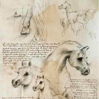 레오나르도 다빈치의 노트 필기와 숨겨진 비밀