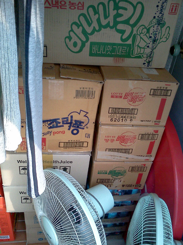 지진 등 재난 대비 태세