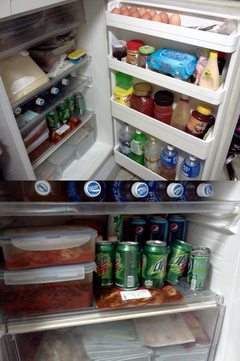 지진 등 재난 대비 태세