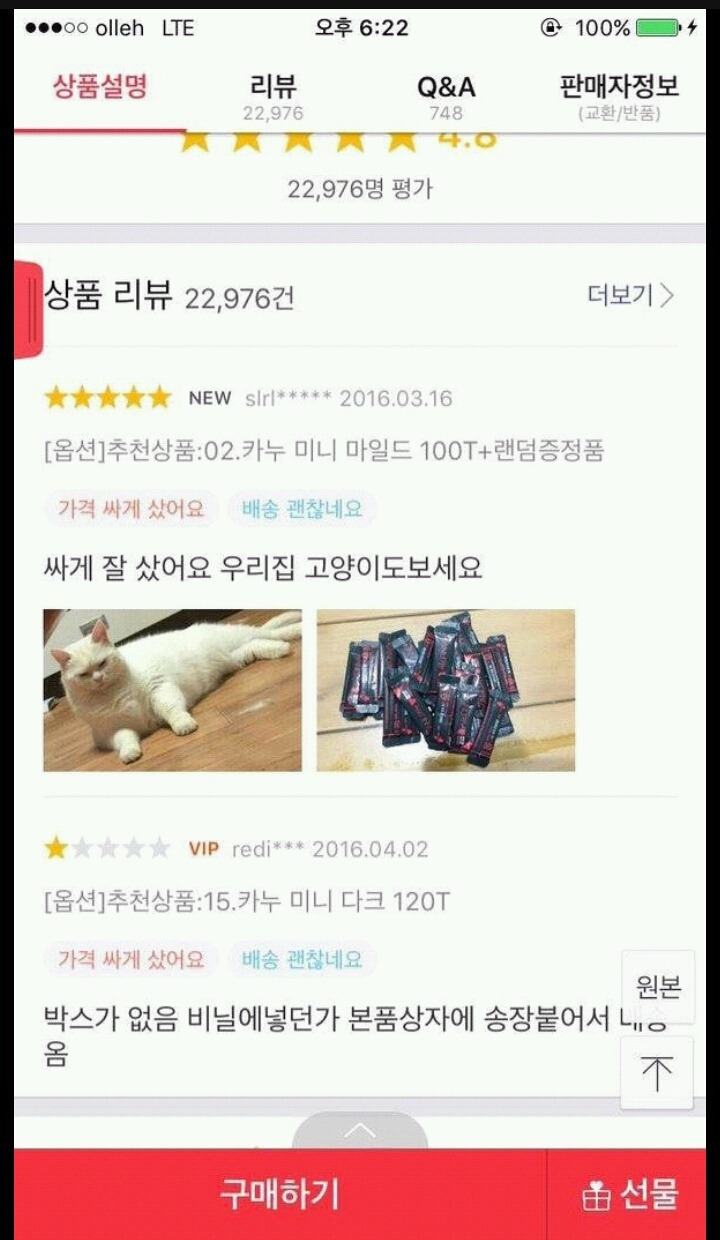 고양이 키우는 놈들 특징