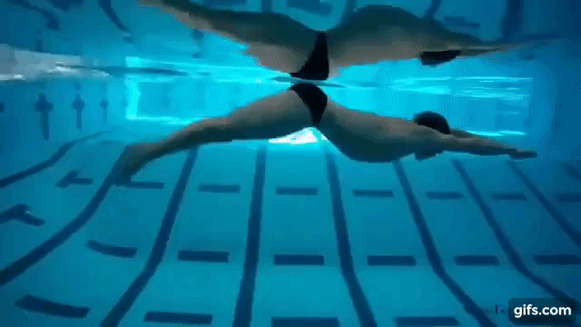수영 종목