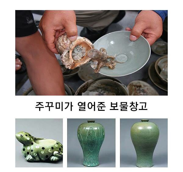 아낌없이 주고 떠난 쭈꾸미