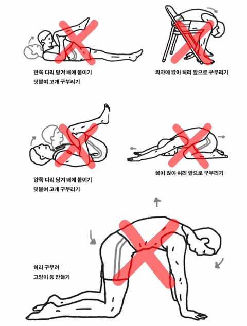 서울대병원 정선근 교수가 말하는 허리 디스크에 좋은 운동과 안 좋은 운동