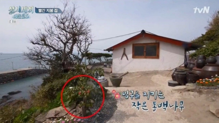 삼시세끼 어촌편5 촬영지 죽굴도 풍경