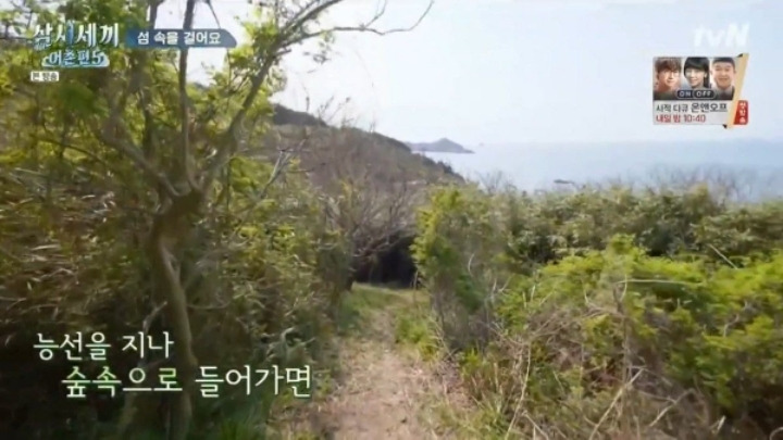 삼시세끼 어촌편5 촬영지 죽굴도 풍경