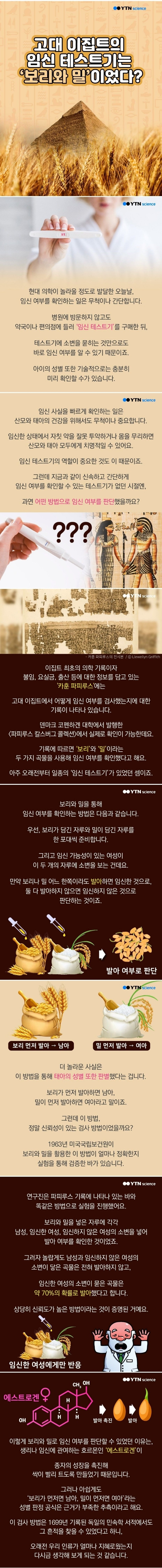 고대 이집트의 임신테스트기