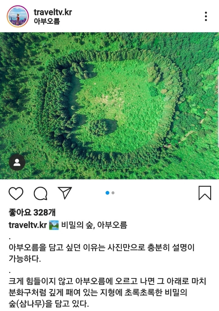 제주도 아부오름 안의 작은숲