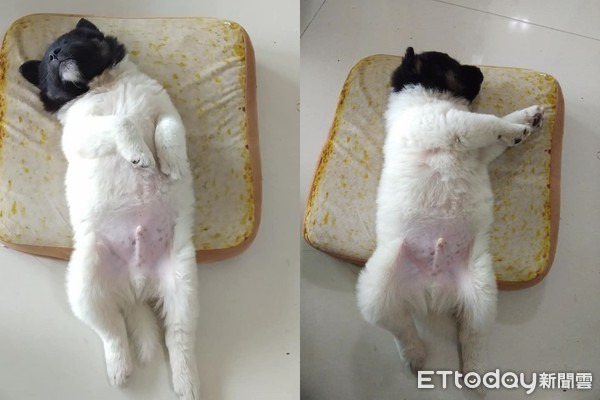 092930a69129cb4fb953c8d3f28656f0c4b12222