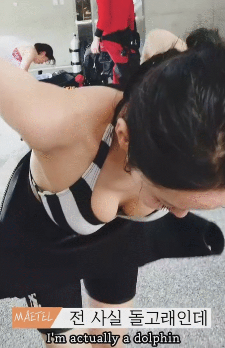 메텔 돌고래 탈피 과정 - 디쁠