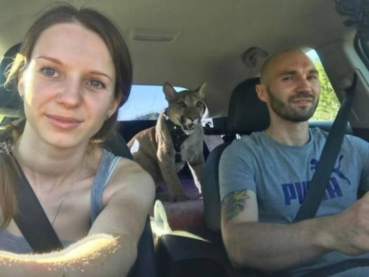 1b84cbc1a4860277c570b9505973b026973d341d