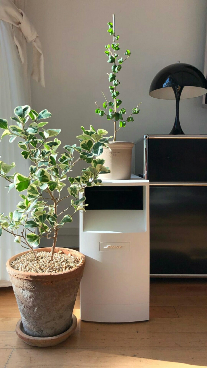 강민경 집 인테리어