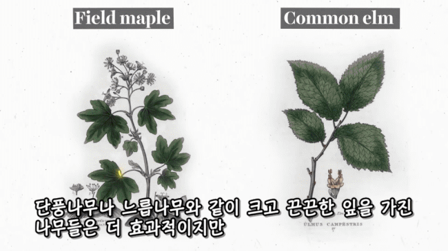 2f6a0c321340062f5b01753ebadd3dec5a471969