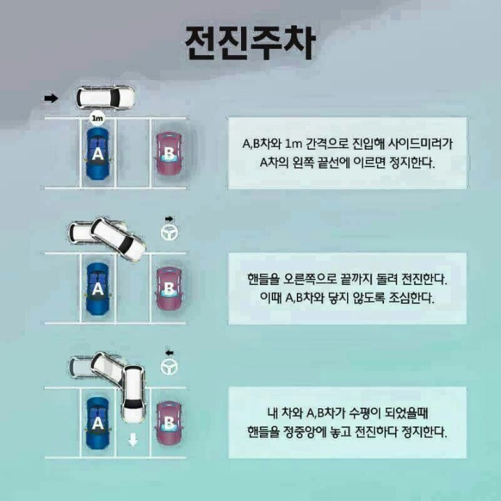 초보 주차팁