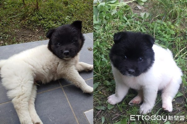 7d119e6bc78fbba1f87e92943f59ad8d2ba2e7f6