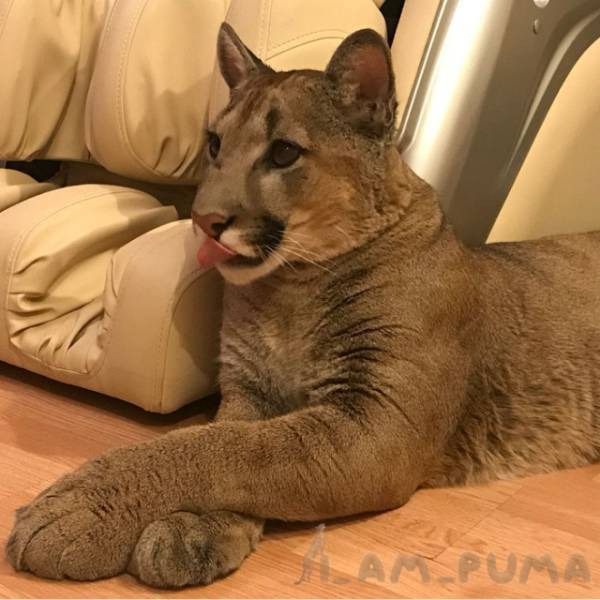 a0679529210ffd24f040c78a9e3bae7110d13da3