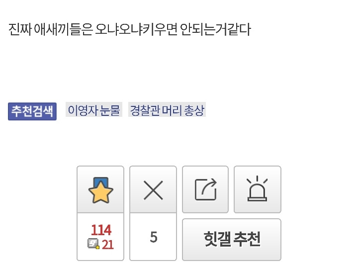 11살 차이나는 동생을 때린 헬갤러