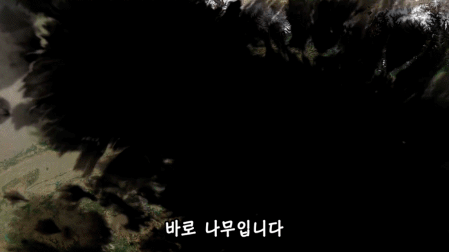 afae7fd183ba71fb72efd0c4b3e94715d98aa29b