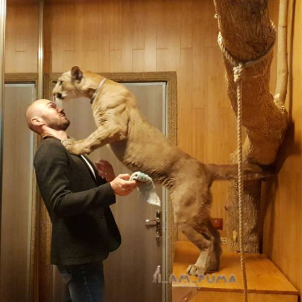 c1154d9678f6c27503e5a3982c702f7efd9c2969