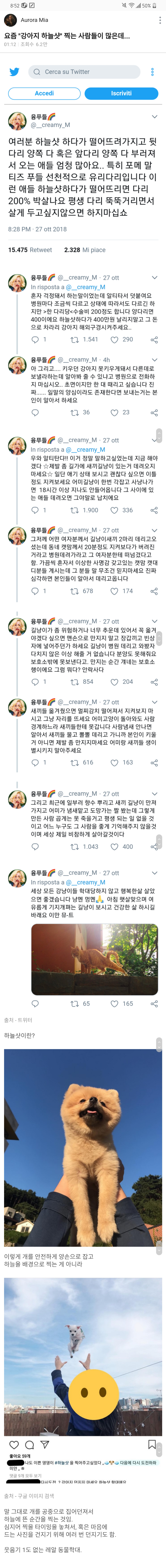 하늘샷 하다가 떨어뜨려가지고 다리 부러져서 오는 애들 많아요 - 꾸르