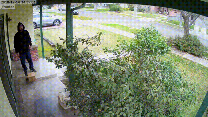 고양이 키우는데 외국이 더 좋은 이유