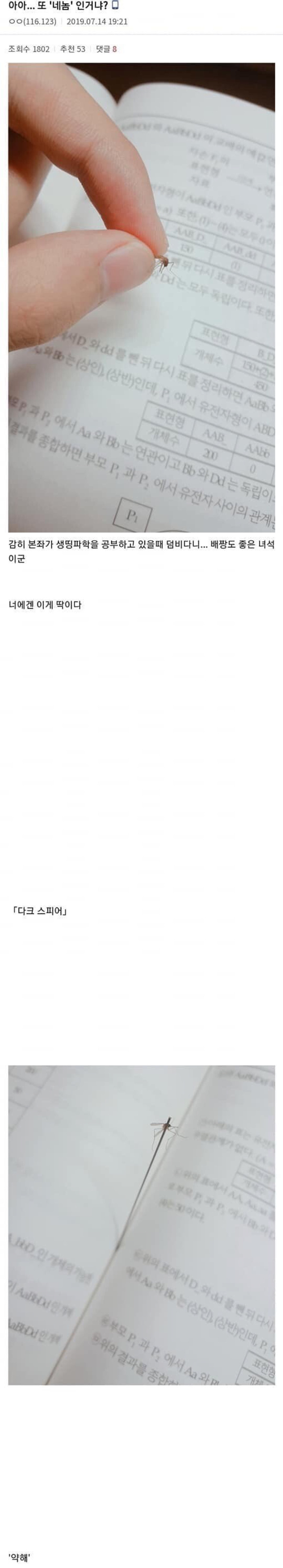 모기를 죽이는 다양한 방법 (스압)