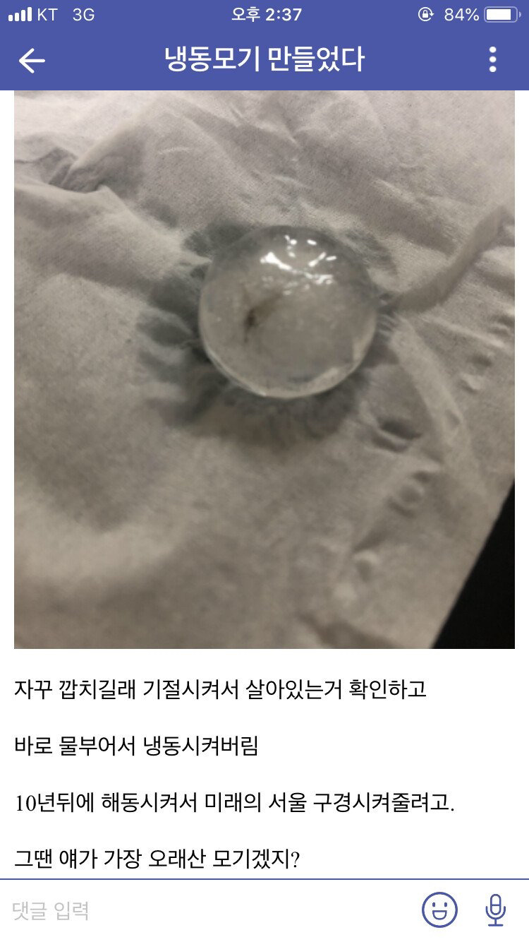 모기를 죽이는 다양한 방법 (스압)