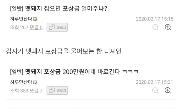 멧돼지 잡으러 산으로 간 디씨인