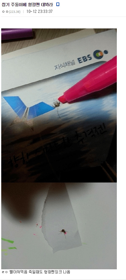 모기를 죽이는 다양한 방법 (스압)