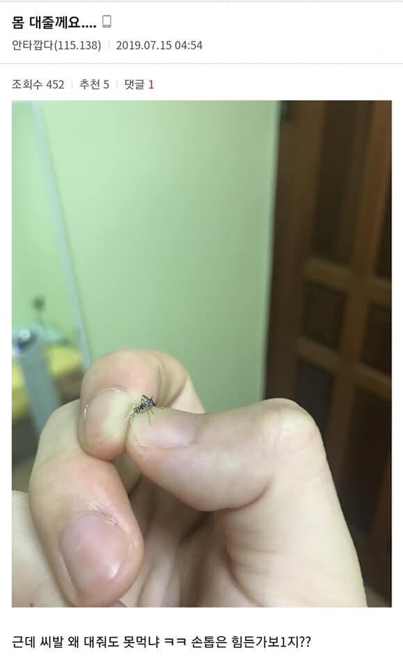 모기를 죽이는 다양한 방법 (스압)