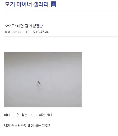 모기를 죽이는 다양한 방법 (스압)
