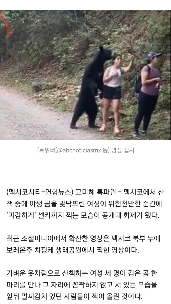 산책길에 야생 곰 만난 멕시코 여성, 목숨 건 셀카 한장