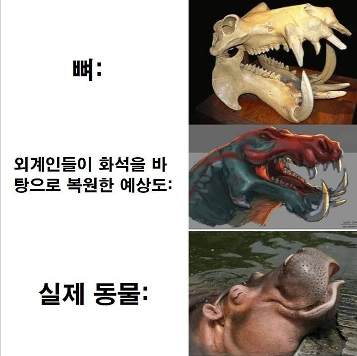 사실 귀여울수도 있는 동물 - 꾸르