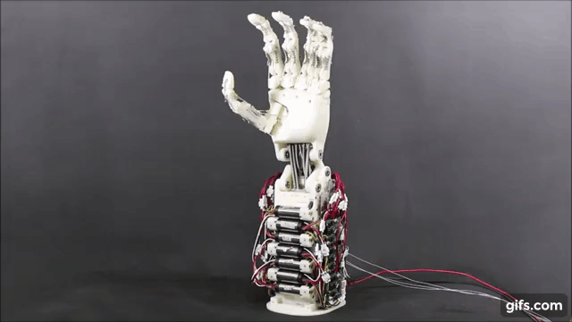 최근 한국에서 개발한 로봇손