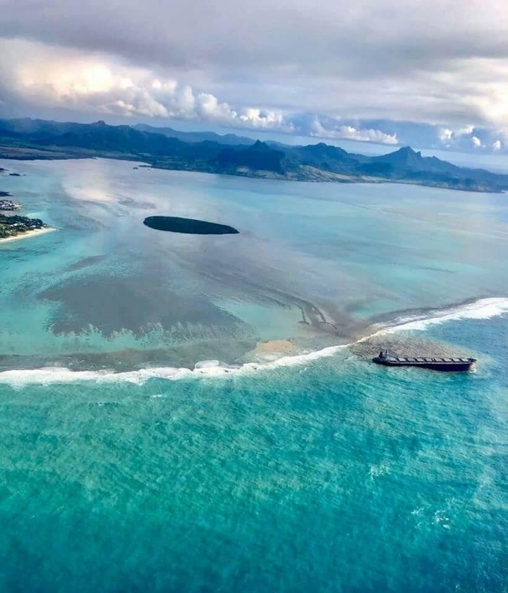 일본 선박 기름 유출로 초토화된 모리셔스 해변 - 꾸르