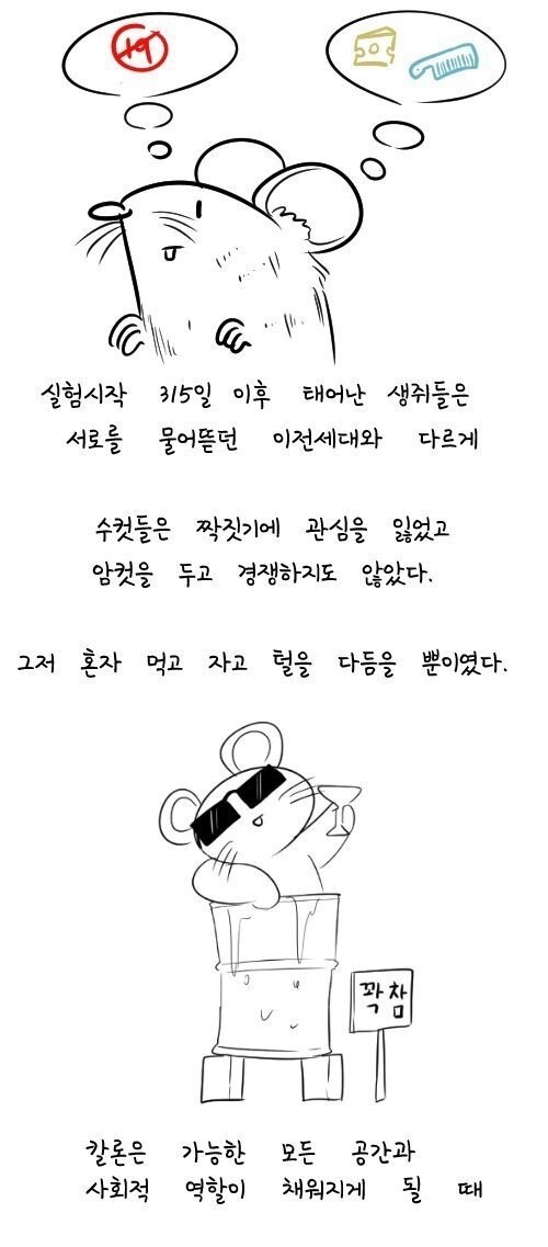 60년전 생쥐를 이용한 실험 - 꾸르