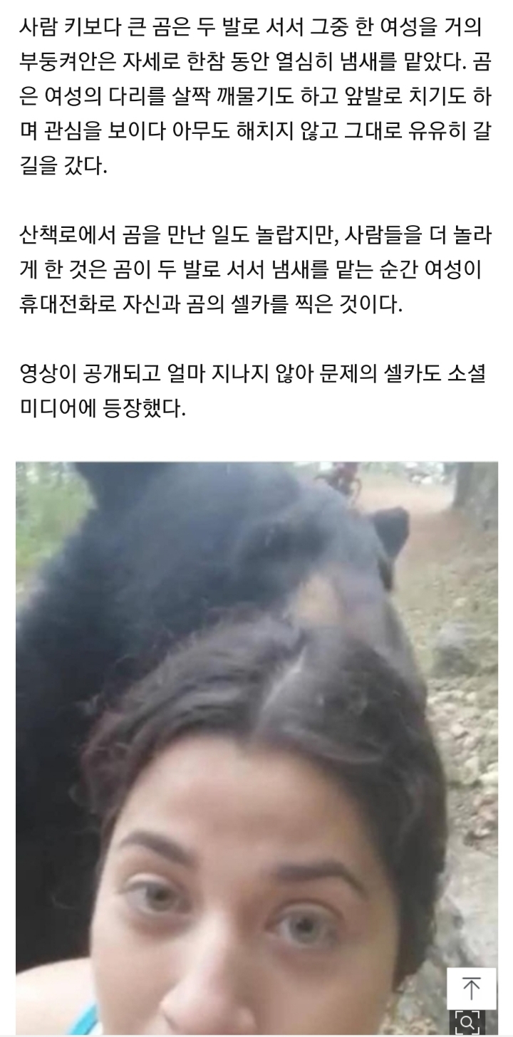 산책길에 야생 곰 만난 멕시코 여성, 목숨 건 셀카 한장