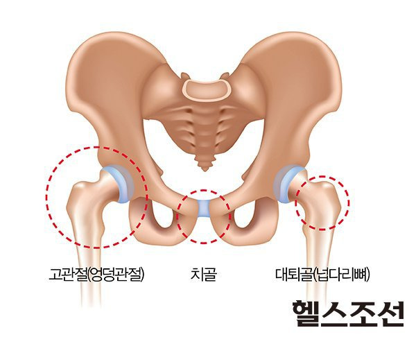 간단한 서양 방패 변천사