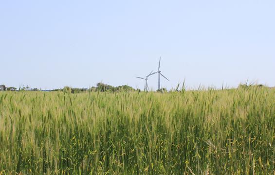 제주도의 숨겨진 보석으로 불리는 가파도