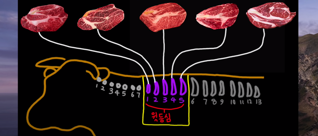 마트에서 실패하지 않고 등심 고르는 방법