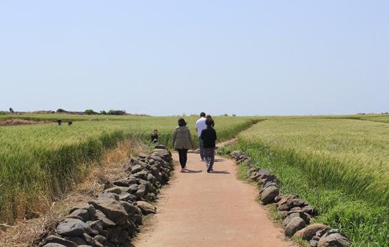 제주도의 숨겨진 보석으로 불리는 가파도