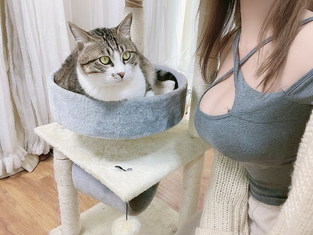 귀여운 고양이 그리고.jpg